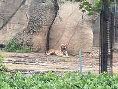 -秦皇岛野生动物园