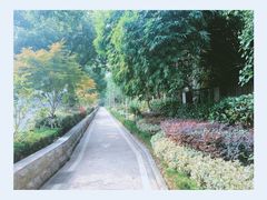 -喷泉公园