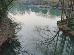 -西溪国家湿地公园