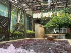 -春晖园度假酒店温泉