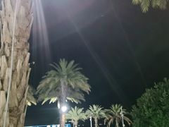 -木屋烧烤(惠阳华润小径湾店)