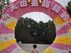 -南山植物园