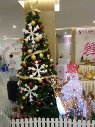 点击看大图 -宝生月子中心·独栋独院式(南山店)