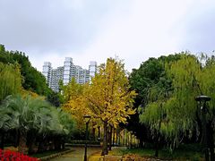 -苏州河梦清园环保主题公园