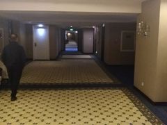 -随州碧桂园凤悦凤凰酒店
