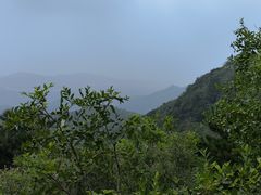 -香山公园