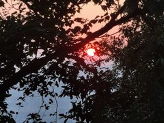 -火炉山森林公园
