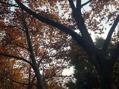 -金堂县云顶石城风景区