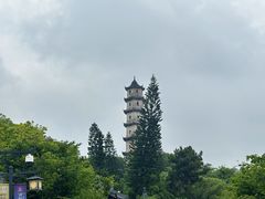 -江心屿景区