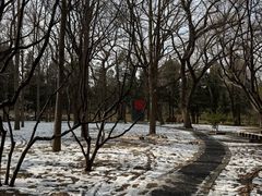 -清华大学-甲所餐厅