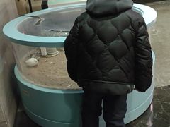 -上海怡沁园度假酒店