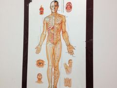 -太乙盲人推拿按摩连锁(星洲店)