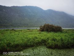 -腾冲北海湿地