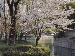 -湘湖金融镇