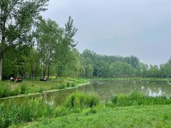 -东郊湿地公园