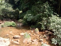 -赤水丹霞旅游区·佛光岩