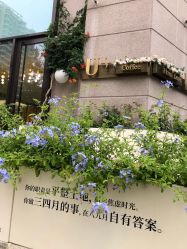 -Dr.U博士医疗美容医院