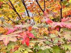 -丹东天桥沟景区