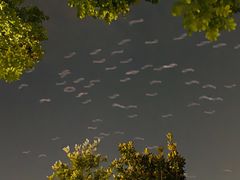 -后襄河公园