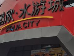 -鹏欣水游城