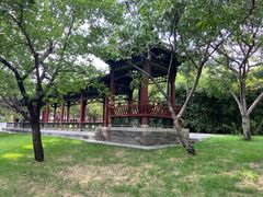 -晋祠公园