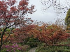 -苏州上方山国家森林公园