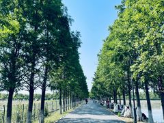 -嘉北郊野公园