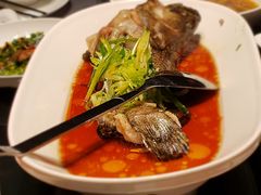 清蒸老虎斑-徐记海鲜·宴会(大唐西市|丰庆店)