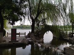 -济南大明湖景区