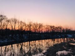 -东郊湿地公园