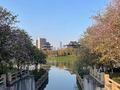 -海珠湖公园