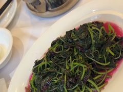 -川香楼酒家