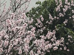 -江南大学(蠡湖校区)