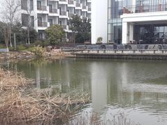 -苏州香山国际大酒店