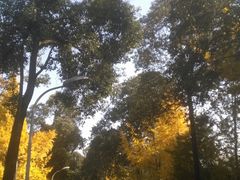 -四川大学(华西校区)