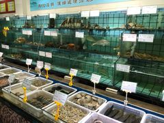水产区-海岛渔村大酒店(云霄路店)