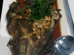 绝代双椒金蝶鱼-南国会酒家(岗顶1站广场店)