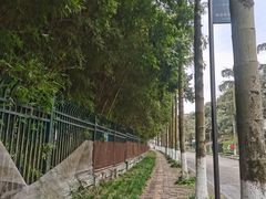-重庆海昌加勒比海水世界