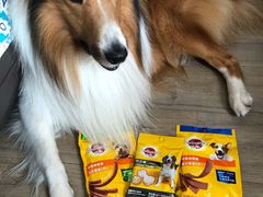 -贝康宠物医院·犬猫全科·小动物特色诊疗中心(东环路店)
