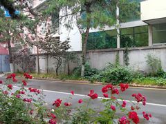 -北大医学部·面包房