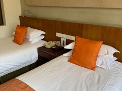 -九华山聚龙大酒店