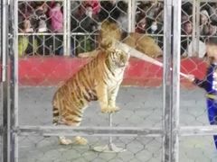 -西安秦岭野生动物园