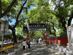 -北京国子监胡同