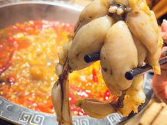 -销魂美蛙鱼头火锅(上海首店)