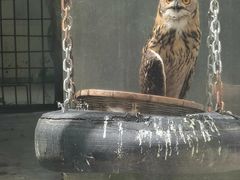 -青峰峡国家森林公园