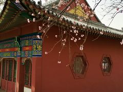 -桃花堤公园