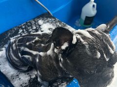 -心仪动物医院·牙专科·肿瘤·心脏科(西客站院)