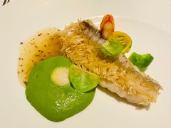 -蝶舍·MAISON PAPILLON