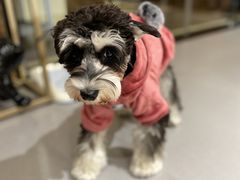 -肆兮眼镜·蔡司·徕卡战略合作店(大坪店)