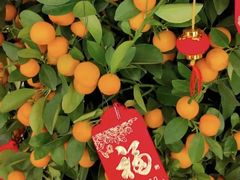 -西郊庄园丽笙大酒店-丽清轩中餐厅